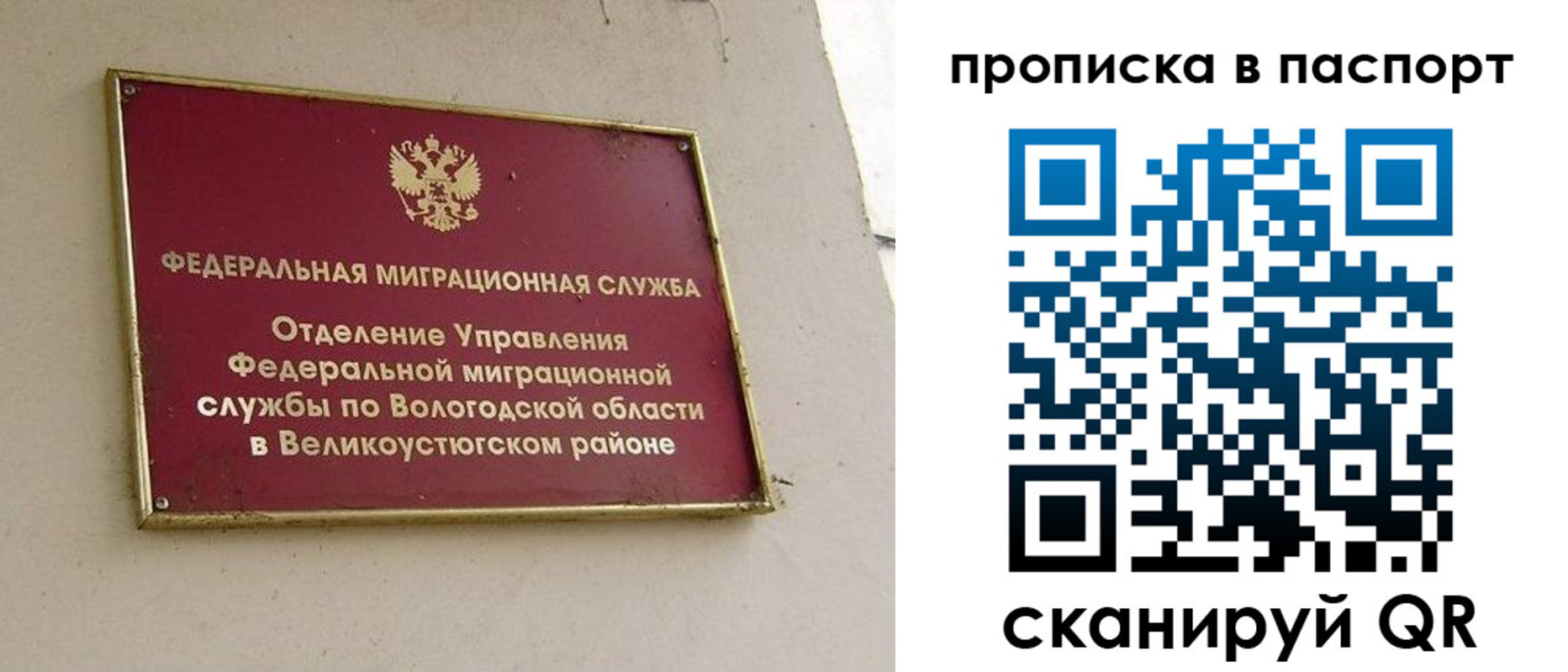 где прописаться в Алексине